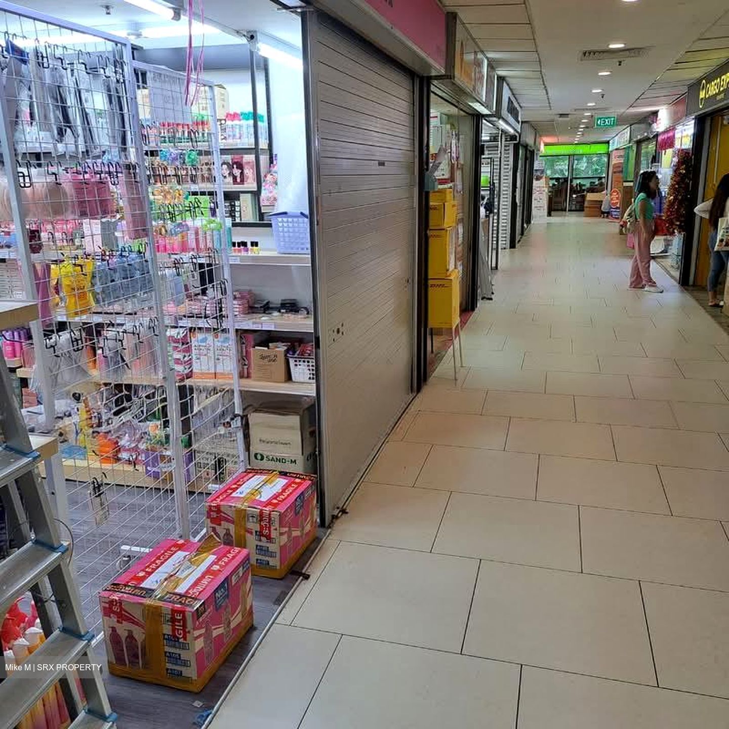 Lucky Plaza (D9), Shop House #537980601